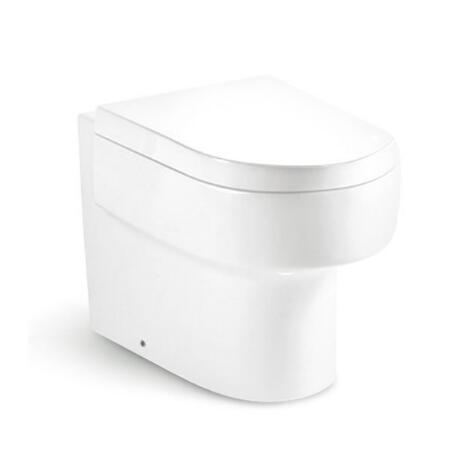 Wall Hung Toilet T8216